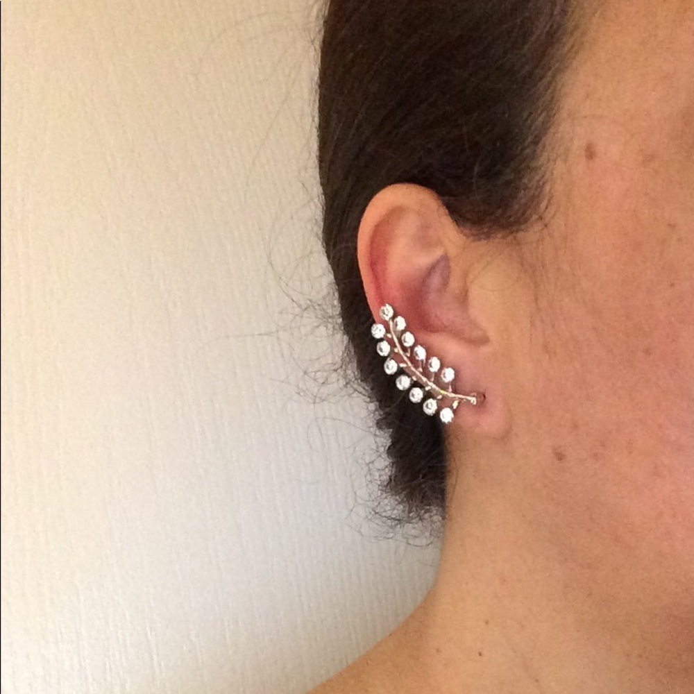 Silver Ear-climbers Earrings